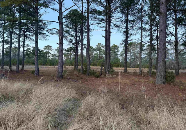 Photo 4 of Land for sale at Tbd Belland Ct, Loris, SC 29569 | MLS# 2600942 | Listing updated on 2026-07-10