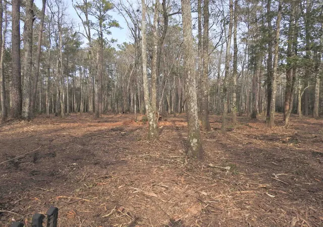 Photo 3 of Land for sale at 301 Bella Rd, Myrtle Beach, SC 29588 | MLS# 2600995 | Listing updated on 2026-06-02