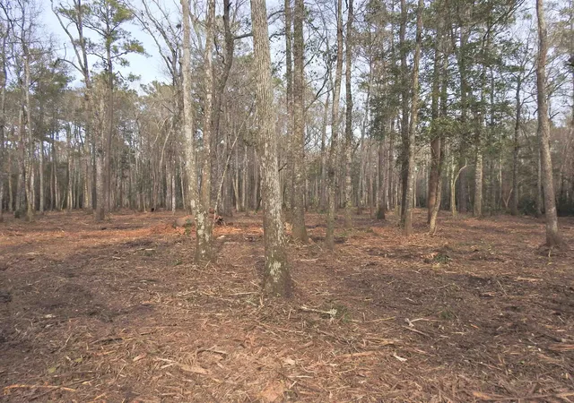 Photo 4 of Land for sale at 301 Bella Rd, Myrtle Beach, SC 29588 | MLS# 2600995 | Listing updated on 2026-06-02