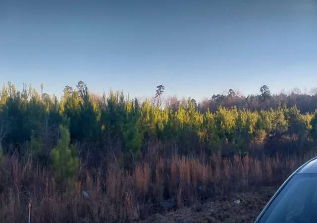 Photo 2 of Land for sale at Lot 13 Mw Stroud Rd, Nichols, SC 29581 | MLS# 2601438 | Listing updated on 2026-07-13