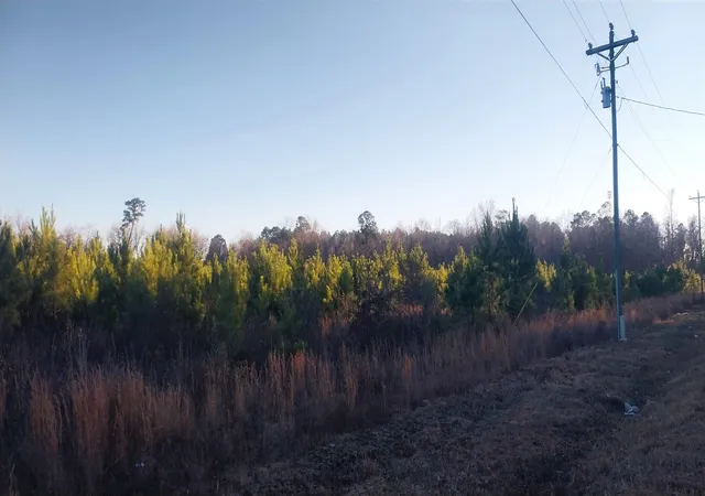 Photo 3 of Land for sale at Lot 13 Mw Stroud Rd, Nichols, SC 29581 | MLS# 2601438 | Listing updated on 2026-07-13