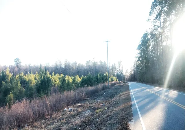 Photo 2 of Sale Pending at Lot 14 Mw Stroud Rd, Nichols, SC 29581 | MLS# 2601445 | Listing updated on 2026-08-01