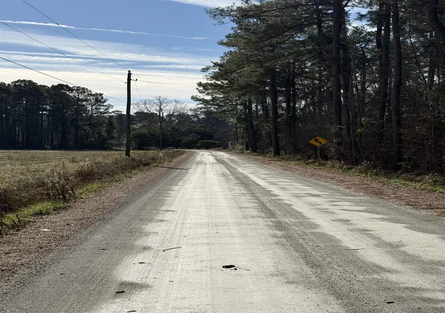 Photo 10 of Sale Pending at Lot 4 Johnson Shelley Rd, Conway, SC 29526 | MLS# 2602121 | Listing updated on 2026-08-20