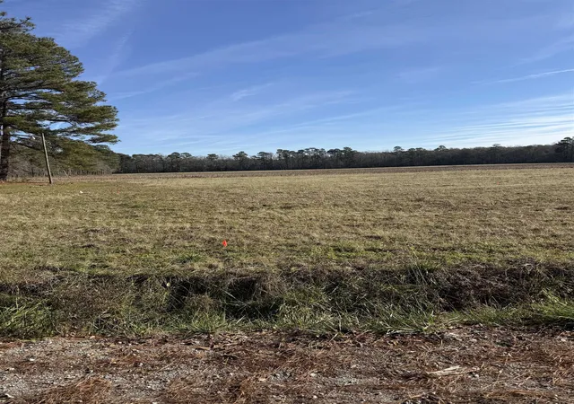 Photo 1 of Sale Pending at Lot 4 Johnson Shelley Rd, Conway, SC 29526 | MLS# 2602121 | Listing updated on 2026-08-20