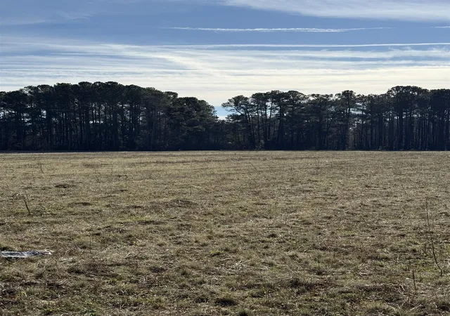 Photo 3 of Sale Pending at Lot 4 Johnson Shelley Rd, Conway, SC 29526 | MLS# 2602121 | Listing updated on 2026-08-20