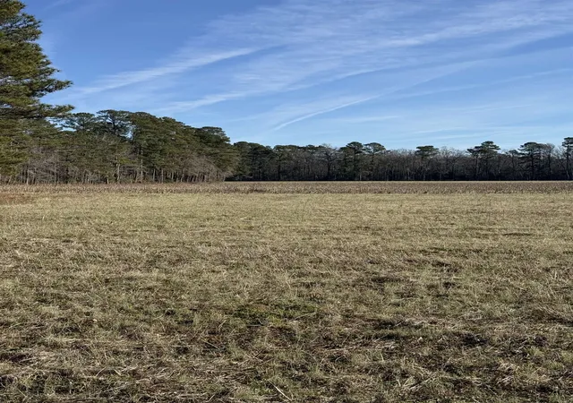 Photo 5 of Land for sale at Lot 5 Johnson Shelley Rd, Conway, SC 29526 | MLS# 2602122 | Listing updated on 2026-06-04