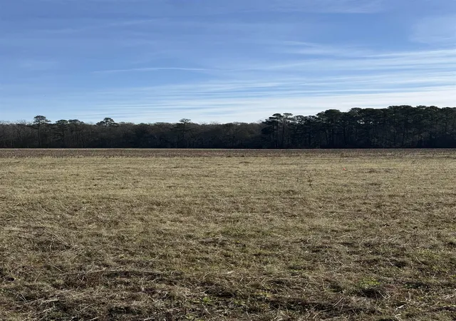 Photo 4 of Sale Pending at Lot 6 Johnson Shelley Rd, Conway, SC 29526 | MLS# 2602123 | Listing updated on 2026-07-13