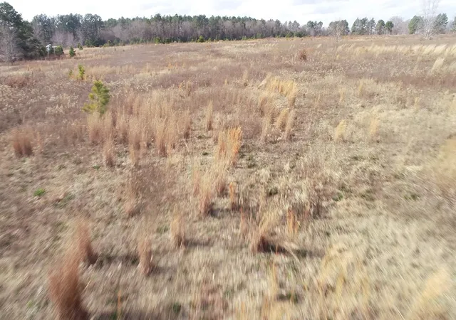 Photo 11 of Land for sale at 0 Cannery Rd, Dalzell, SC 29040 | MLS# 2602233 | Listing updated on 2026-02-05