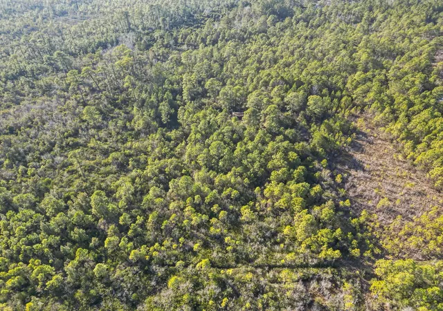 Photo 2 of Land for sale at Tbd Sugar Bowl Ln, Longs, SC 29568 | MLS# 2602501 | Listing updated on 2026-07-28