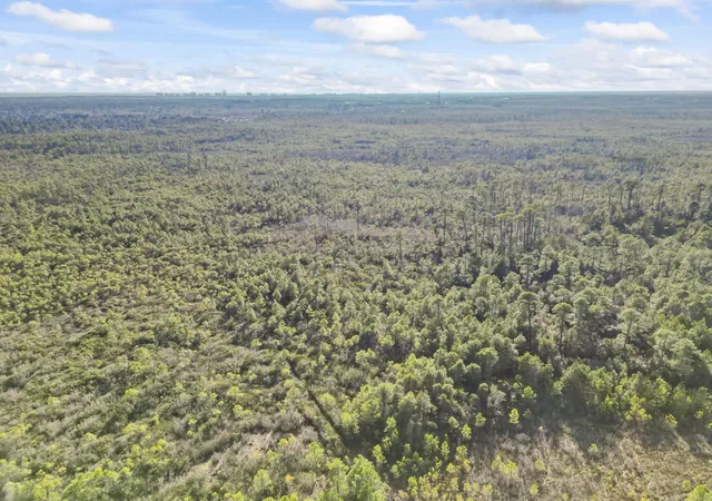 Photo 3 of Land for sale at Tbd Sugar Bowl Ln, Longs, SC 29568 | MLS# 2602501 | Listing updated on 2026-07-28