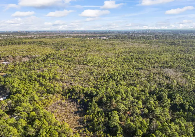 Photo 3 of Land for sale at Tbd Sugar Bowl Ln, Longs, SC 29568 | MLS# 2602501 | Listing updated on 2026-07-28