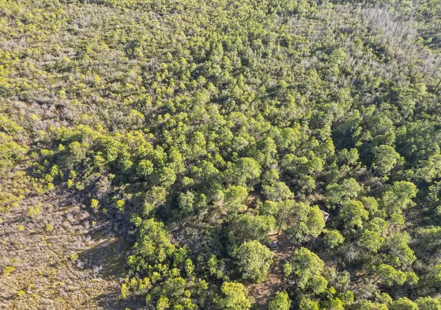 Photo 4 of Land for sale at Tbd Sugar Bowl Ln, Longs, SC 29568 | MLS# 2602501 | Listing updated on 2026-07-28
