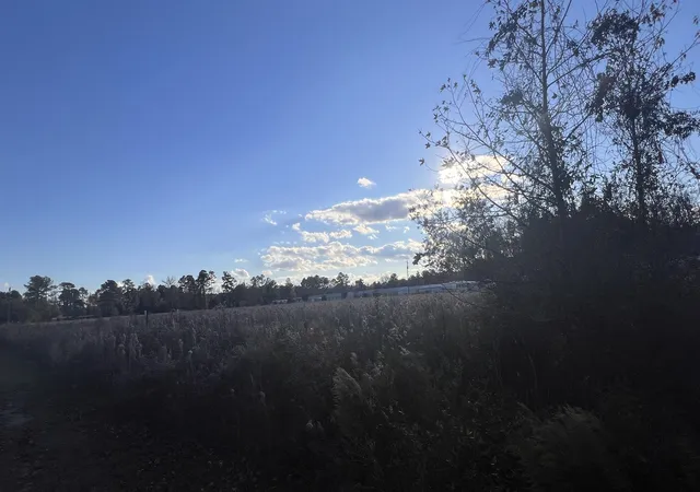 Photo 3 of Land for sale at 1079 Acres Hwy 90, Longs, SC 29568 | MLS# 2602577 | Listing updated on 2026-08-25