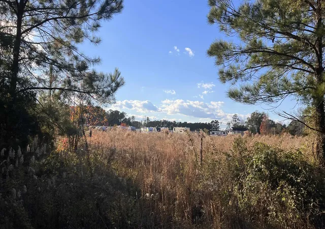 Photo 4 of Land for sale at 1079 Acres Hwy 90, Longs, SC 29568 | MLS# 2602577 | Listing updated on 2026-08-25