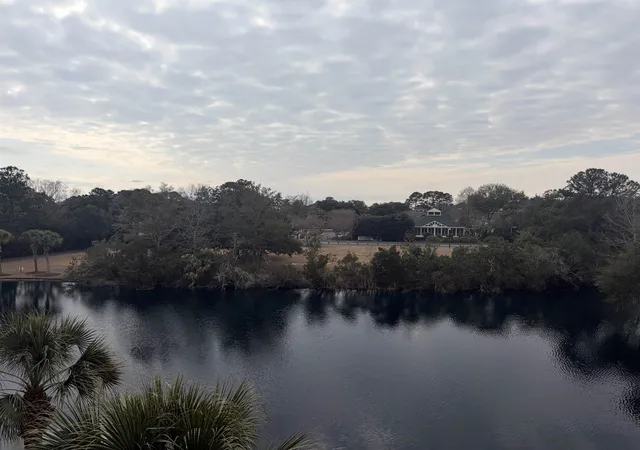 15th image of 14290 Ocean Hwy #316, Pawleys Island, SC 29585 | MLS# 2602806
