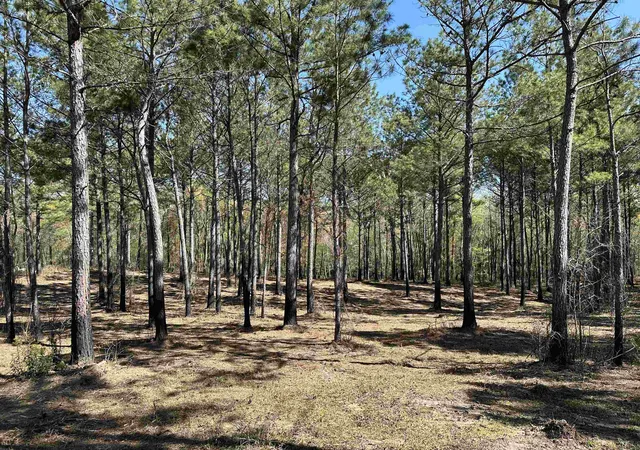 Homes for sale in Salters, SC | Lot 6   Tbd Old Camp Ln, Salters, SC 29590 | MLS# 2602957