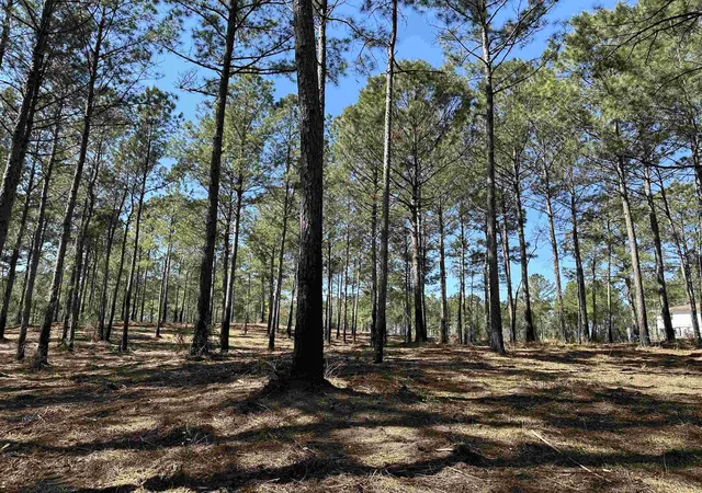 Homes for sale in Salters, SC | Lot 6   Tbd Old Camp Ln, Salters, SC 29590 | MLS# 2602957