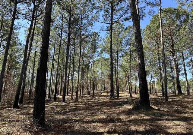 Homes for sale in Salters, SC | Lot 6 - Tbd Old Camp Ln, Salters, SC 29590 | MLS# 2602957