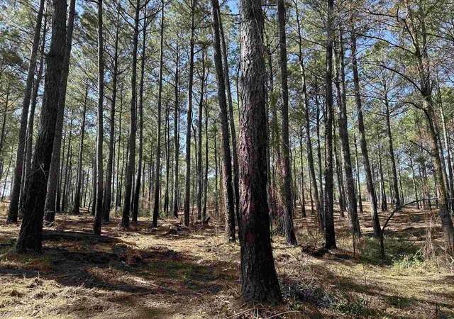 Homes for sale in Salters, SC | Lot 6 - Tbd Old Camp Ln, Salters, SC 29590 | MLS# 2602957