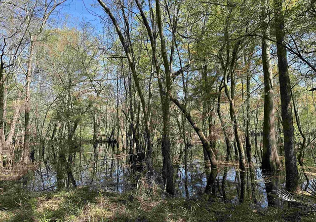 Homes for sale in Salters, SC | Lot 6 - Tbd Old Camp Ln, Salters, SC 29590 | MLS# 2602957