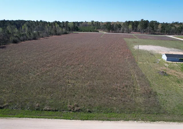 Homes for sale in Salters, SC | Lot 34 Tbd Gulley Ln, Salters, SC 29590 | MLS# 2602968