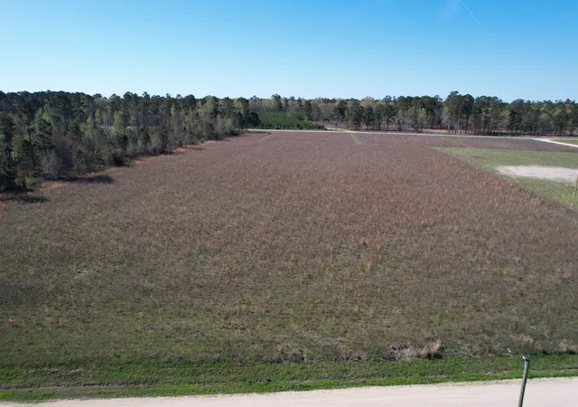 Homes for sale in Salters, SC | Lot 34 Tbd Gulley Ln, Salters, SC 29590 | MLS# 2602968