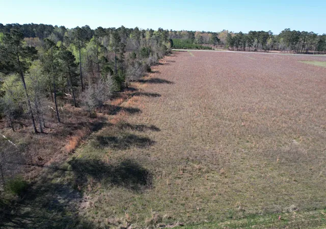 Homes for sale in Salters, SC | Lot 34-Tbd Gulley Ln, Salters, SC 29590 | MLS# 2602968