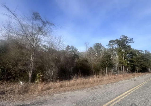 Homes for sale in Marion, SC | Tbd Retired Ave, Marion, SC 29571 | MLS# 2603207