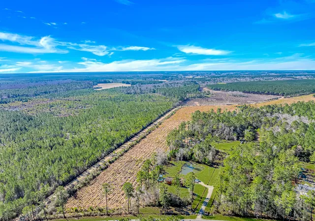 40th image of 81 Silver Pond Ln, Hemingway, SC 29554 | MLS# 2603296