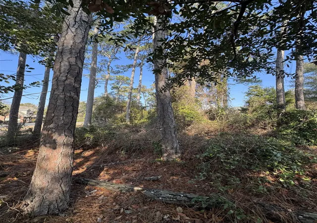 Photo 2 of Land for sale at 958 Tiffany Ln, North Myrtle Beach, SC 29582 | MLS# 2603418 | Listing updated on 2026-08-01
