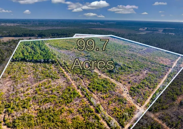 Photo 1 of Land for sale at 100 Acres Fifteen Mile Bay Rd, Nichols, SC 29581 | MLS# 2604121 | Listing updated on 2026-04-07