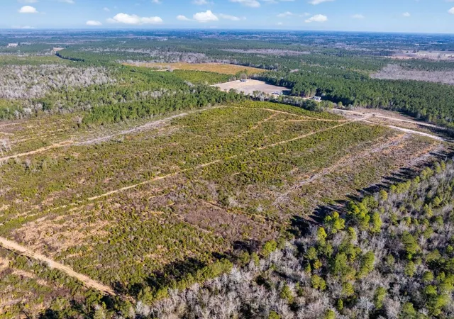 Photo 3 of Land for sale at 100 Acres Fifteen Mile Bay Rd, Nichols, SC 29581 | MLS# 2604121 | Listing updated on 2026-04-07