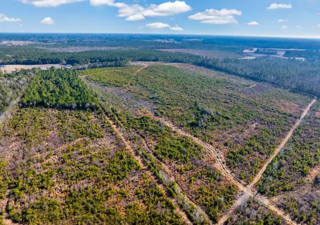 Photo 4 of Land for sale at 100 Acres Fifteen Mile Bay Rd, Nichols, SC 29581 | MLS# 2604121 | Listing updated on 2026-04-07