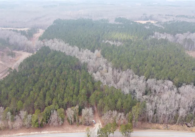 Homes for sale in Ehrhardt, SC | Tbd Hunters Chapel Rd, Ehrhardt, SC 29081 | MLS# 2604248