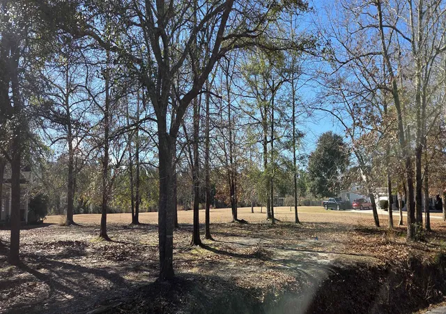 Photo 1 of Land for sale at 59 Fiddlers Loop, Georgetown, SC 29440 | MLS# 2604263 | Listing updated on 2026-08-31