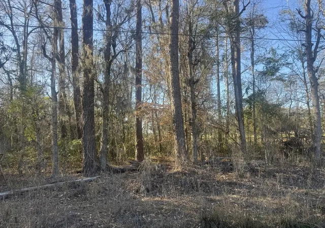 Homes for sale in Green Sea, SC | 2135 Hwy 646, Green Sea, SC 29545 | MLS# 2604314