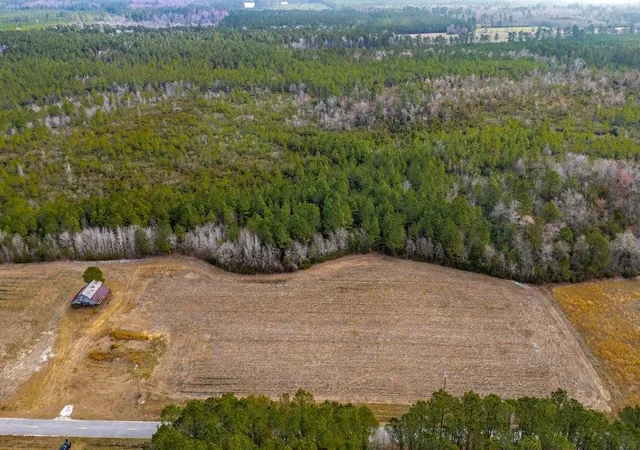 Photo 1 of Land for sale at 9060 Black Crk Rd, Nichols, SC 29581 | MLS# 2604942 | Listing updated on 2026-08-21