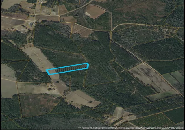 Photo 2 of Land for sale at 9060 Black Crk Rd, Nichols, SC 29581 | MLS# 2604942 | Listing updated on 2026-08-21