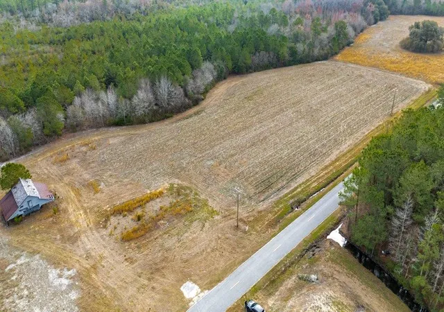 Photo 3 of Land for sale at 9060 Black Crk Rd, Nichols, SC 29581 | MLS# 2604942 | Listing updated on 2026-08-21