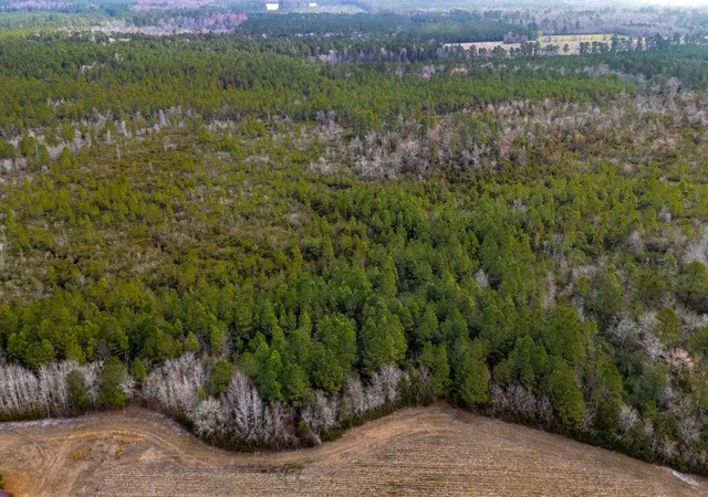Photo 4 of Land for sale at 9060 Black Crk Rd, Nichols, SC 29581 | MLS# 2604942 | Listing updated on 2026-08-21