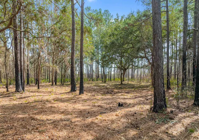 Photo 4 of Land for sale at 2630 Vanderbilt Blvd, Pawleys Island, SC 29585 | MLS# 2605110 | Listing updated on 2026-08-22