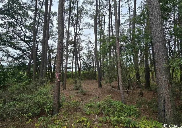 Photo 3 of Land for sale at Tbd Gillette Pl, Murrells Inlet, SC 29576 | MLS# 2605569 | Listing updated on 2026-10-02