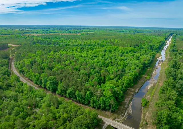 Photo 2 of Land for sale at 0 Sand Plant Rd, Nichols, SC 29581 | MLS# 2605582 | Listing updated on 2026-08-28