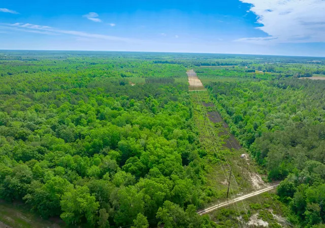 Photo 3 of Land for sale at 0 Sand Plant Rd, Nichols, SC 29581 | MLS# 2605582 | Listing updated on 2026-08-28