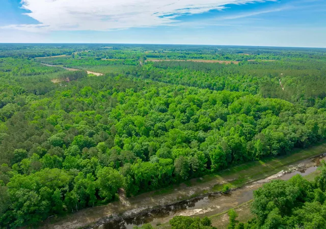 Photo 3 of Land for sale at 0 Sand Plant Rd, Nichols, SC 29581 | MLS# 2605582 | Listing updated on 2026-08-28