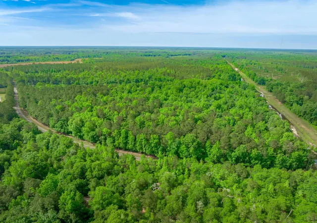 Photo 4 of Land for sale at 0 Sand Plant Rd, Nichols, SC 29581 | MLS# 2605582 | Listing updated on 2026-08-28