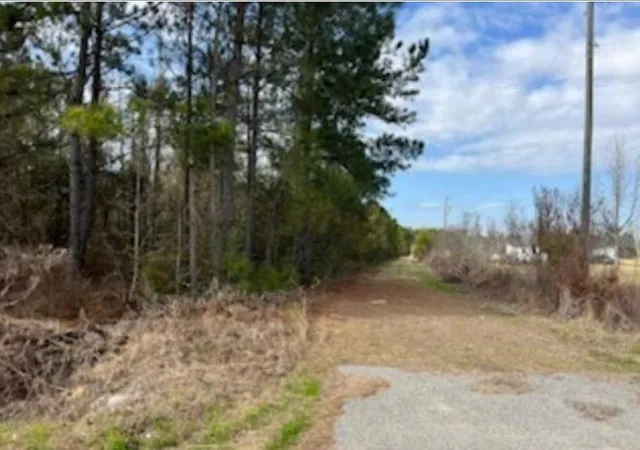 Homes for sale in Lake City, SC | 791 Moulds Rd, Lake City, SC 29560 | MLS# 2605626