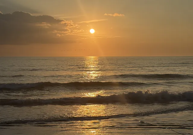 Photo 24 of Sale Pending at 14290 Ocean Hwy #205, Pawleys Island, SC 29585 | MLS# 2605707 | Listing updated on 2026-08-24