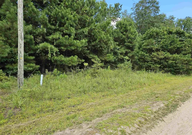 Homes for sale in Loris, SC | Tbd Lot 8 Powell Lane, Loris, SC 29569 | MLS# 2606137
