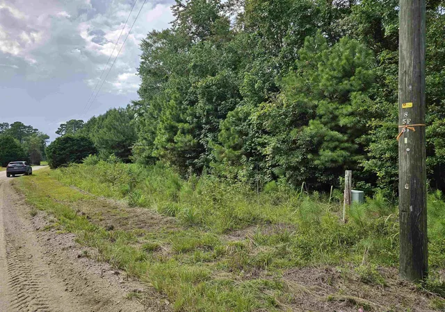 Homes for sale in Loris, SC | Tbd Lot 8 Powell Lane, Loris, SC 29569 | MLS# 2606137